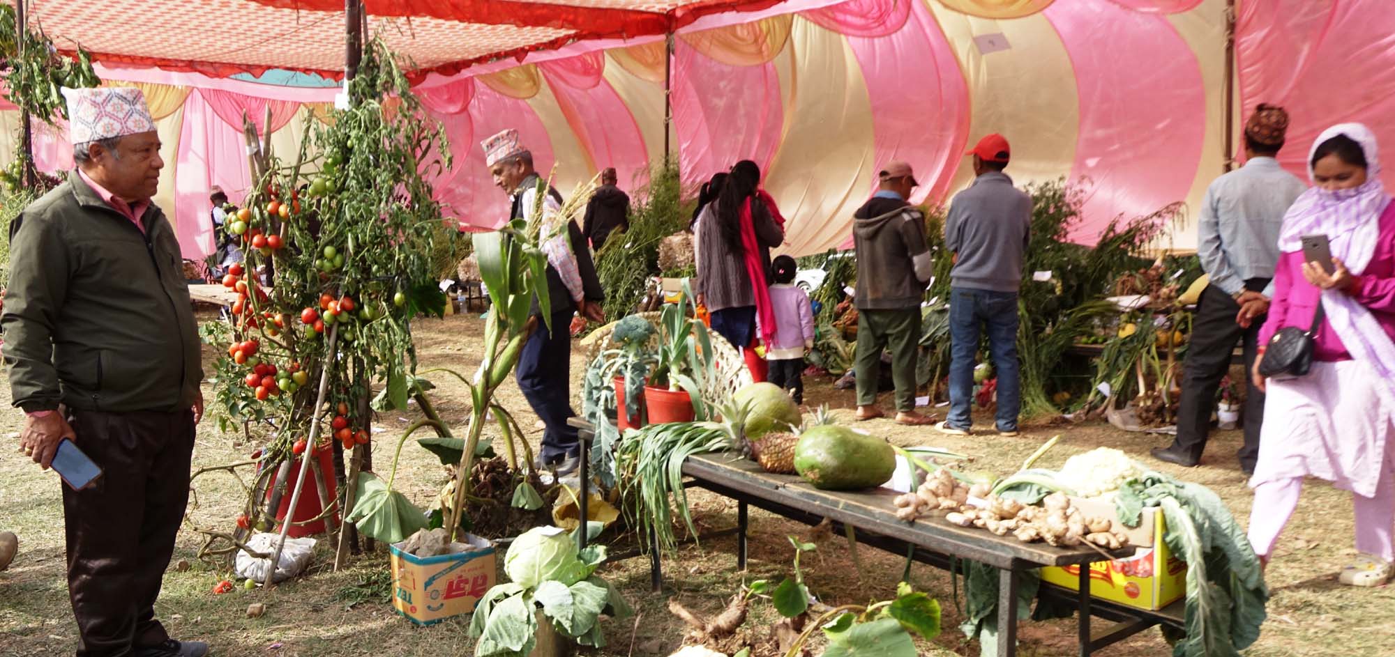 कृषकलाई आधुनिक प्रविधिसँग जोड्दै सक्षम उद्यमी बनाउन पाल्पामा कृषि मेला